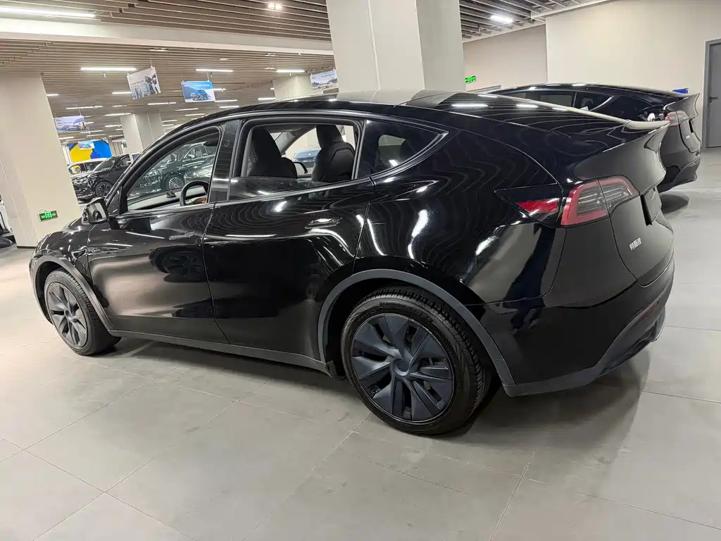 Tesla Model Y — миниатюра 8