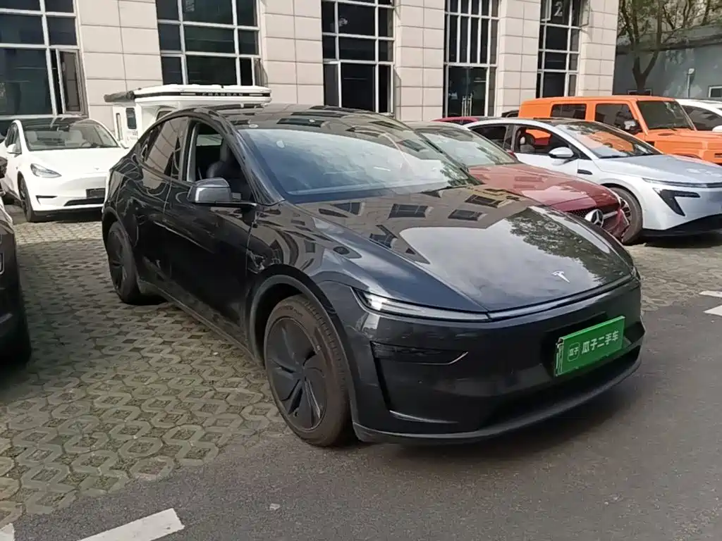 Tesla Model Y — миниатюра 4