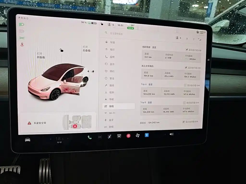 Tesla Model Y — миниатюра 12