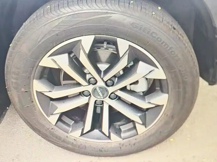 Haval Big Dog — миниатюра 6