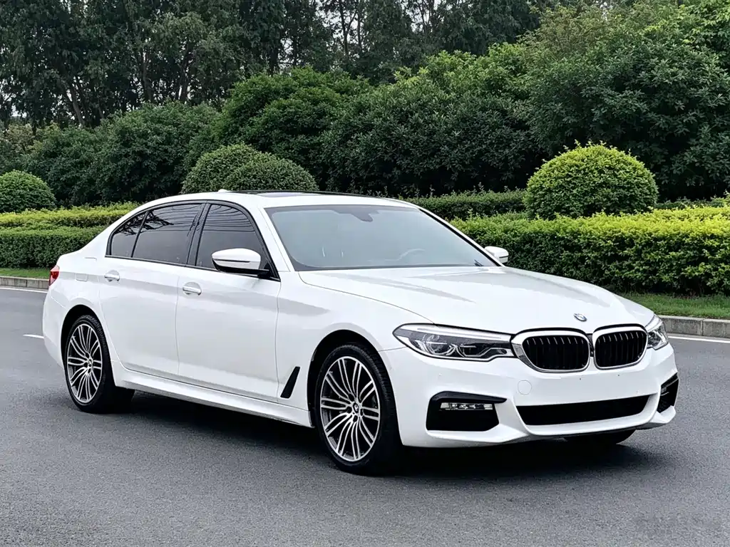 BMW 5 Series — миниатюра 13