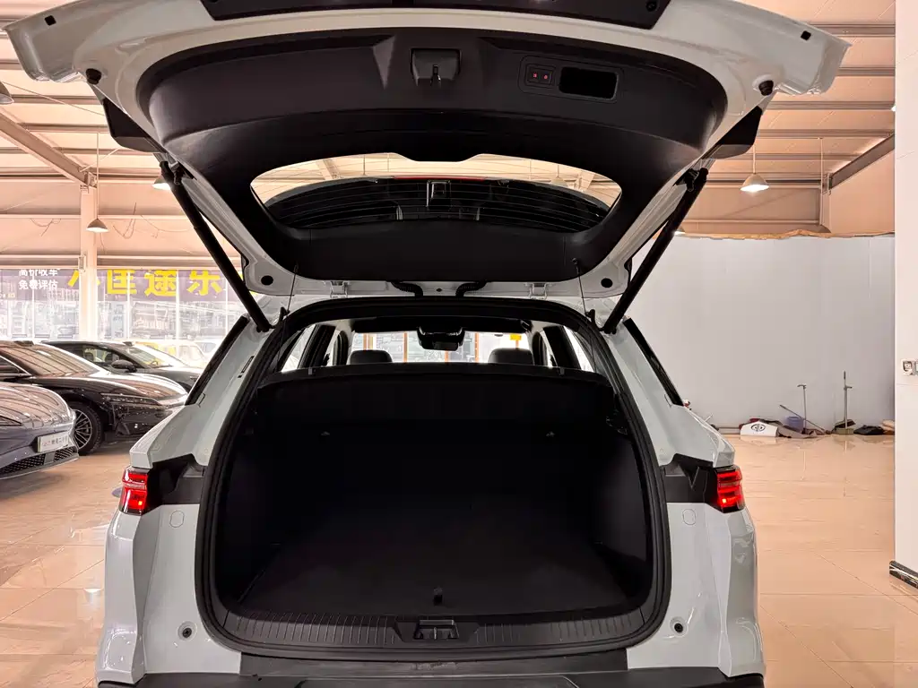 BYD SONGJIANG NEW ENERGY