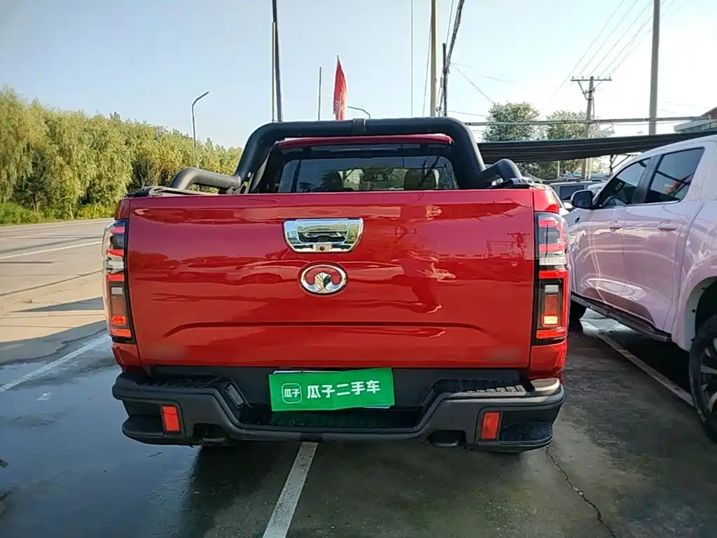 Great Wall Pao — миниатюра 6