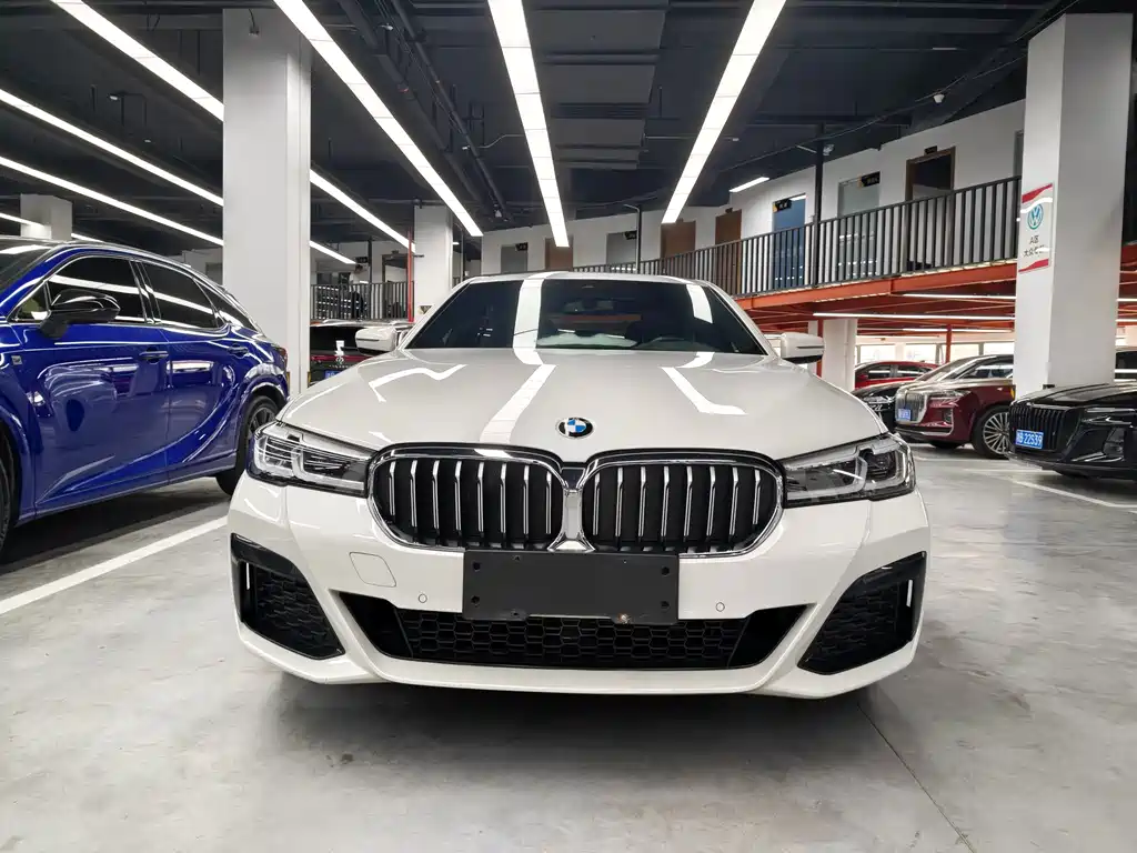 BMW 5 Series — миниатюра 2