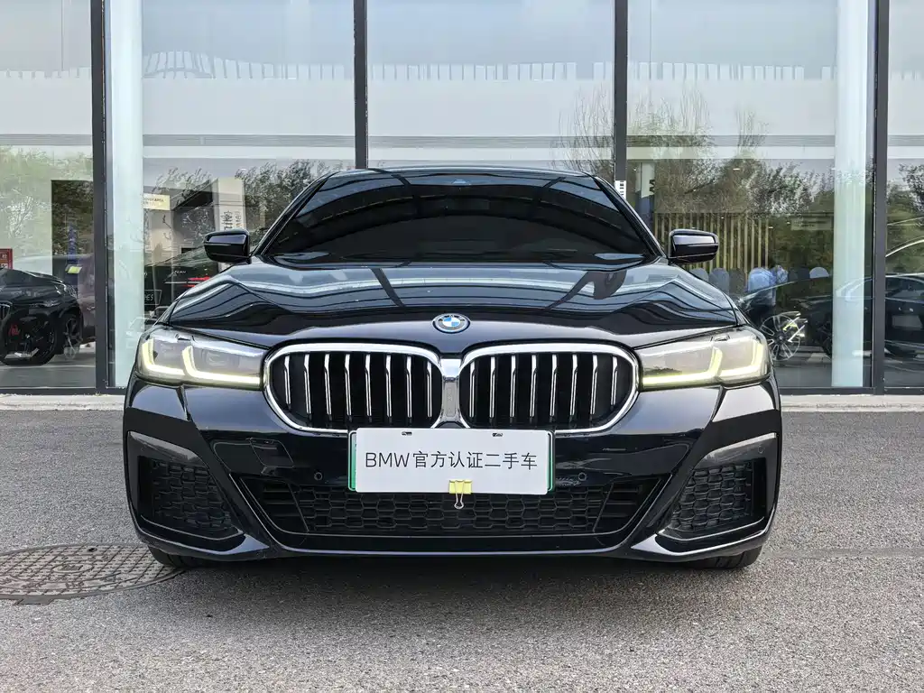 BMW 5 Series New Energy — миниатюра 2