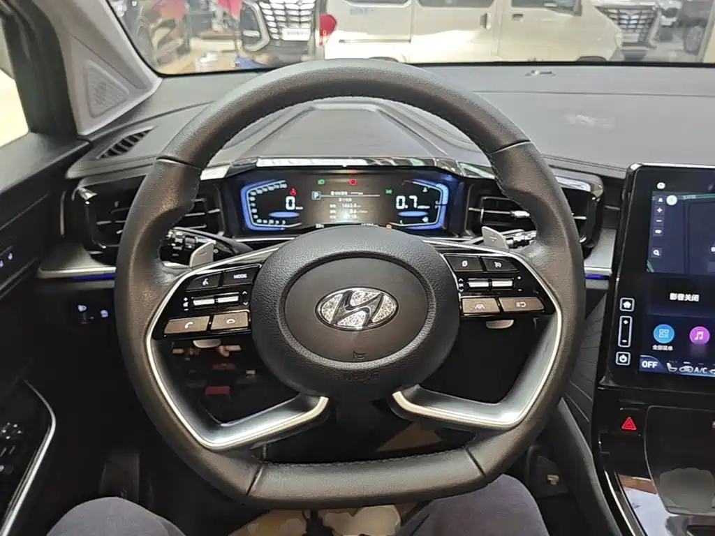 Hyundai Custo — миниатюра 11