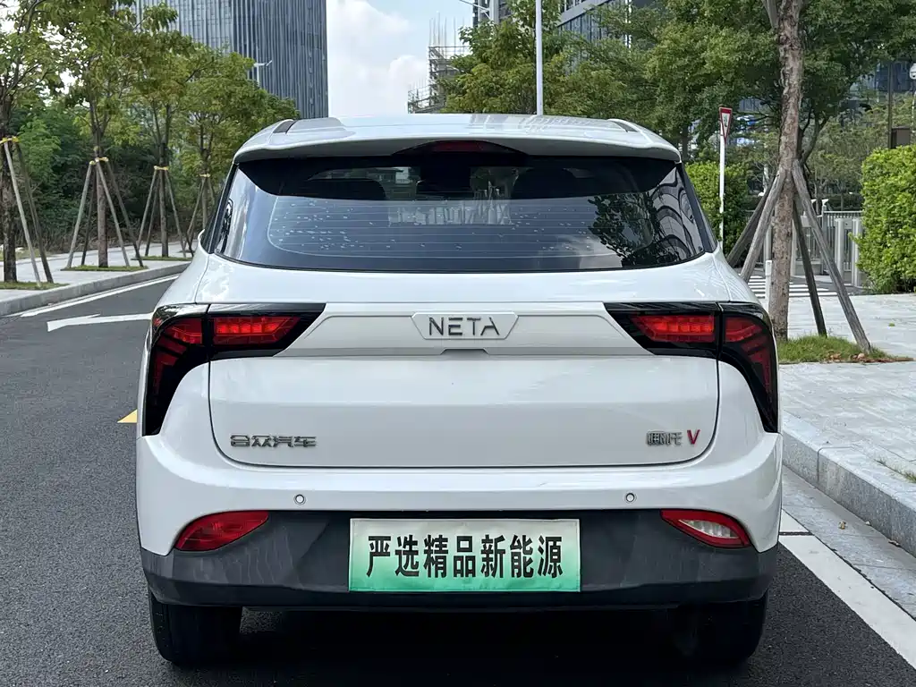 Neta Neta V — миниатюра 5