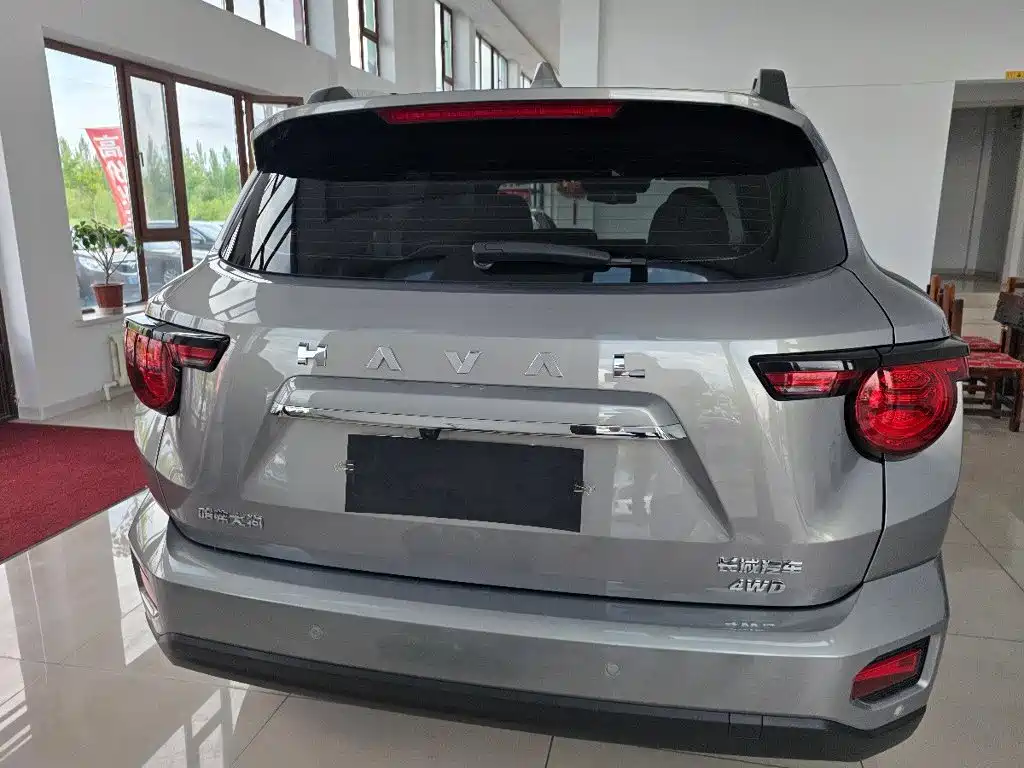 Haval Big Dog PLUS — миниатюра 8