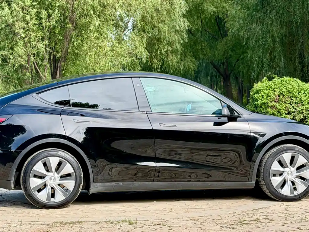 Tesla Model Y — миниатюра 14