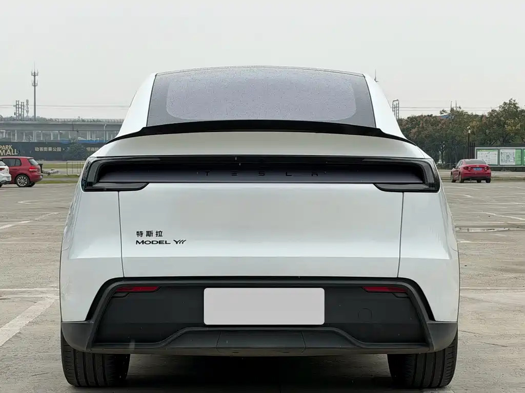 Tesla Model Y L — миниатюра 5