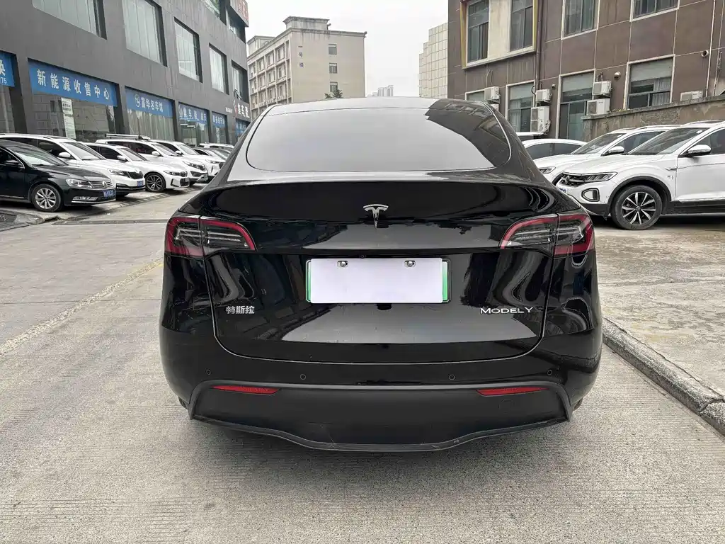 Tesla Model Y — миниатюра 8
