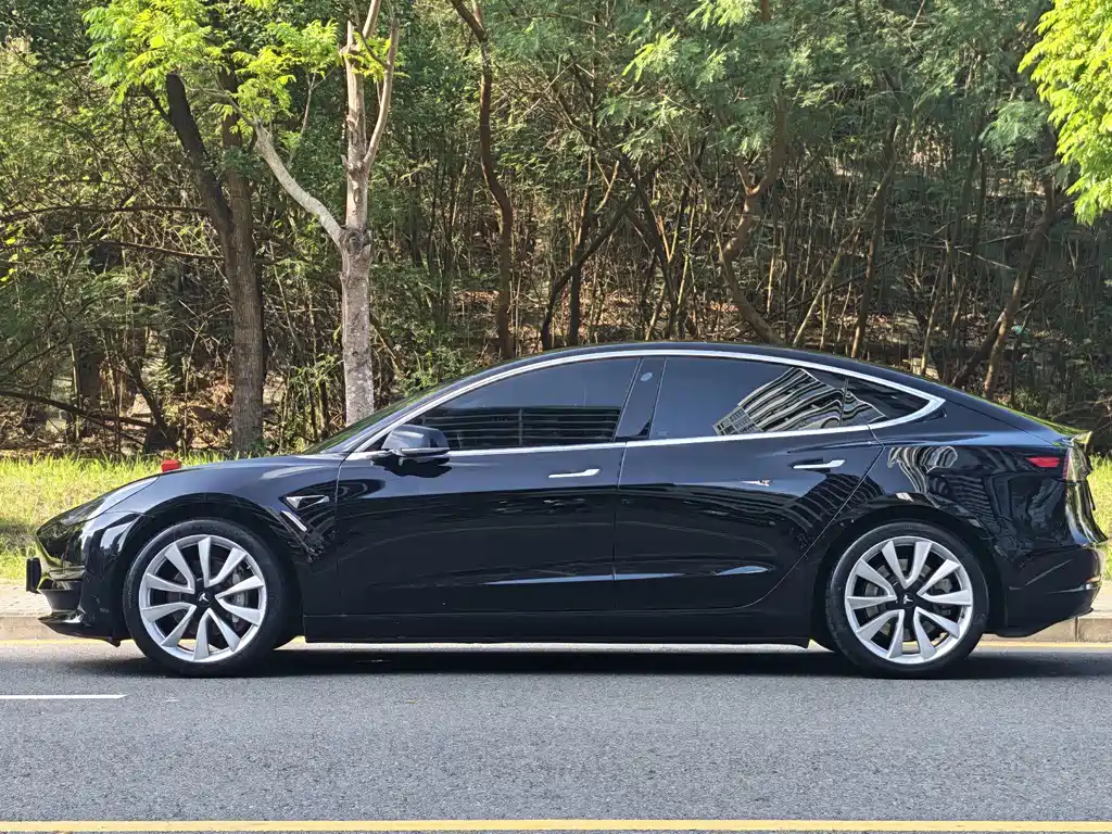 Tesla Model 3 — миниатюра 4