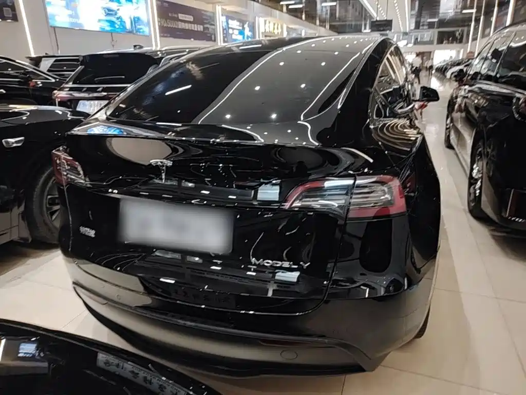 Tesla Model Y — миниатюра 6