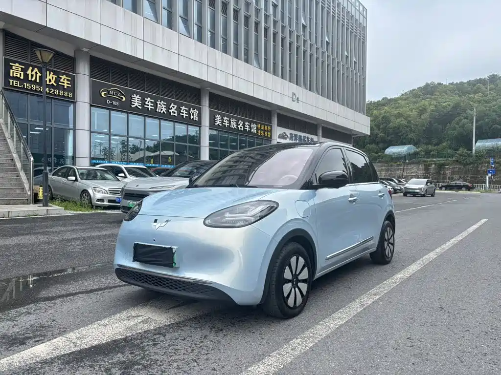 Wuling Binguo 2025 410km Premium