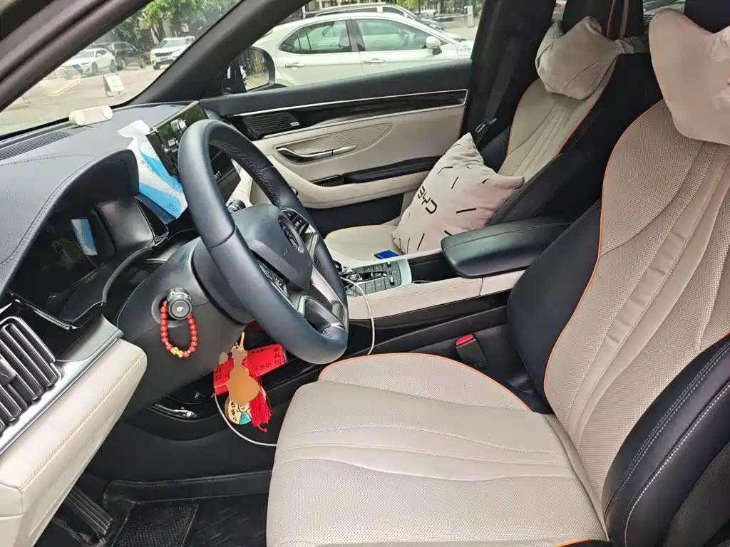 BYD PLUS New Energy — миниатюра 11