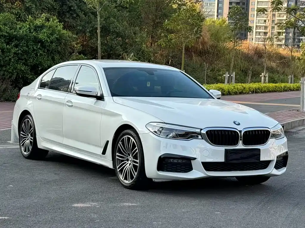 BMW 5 SERIES