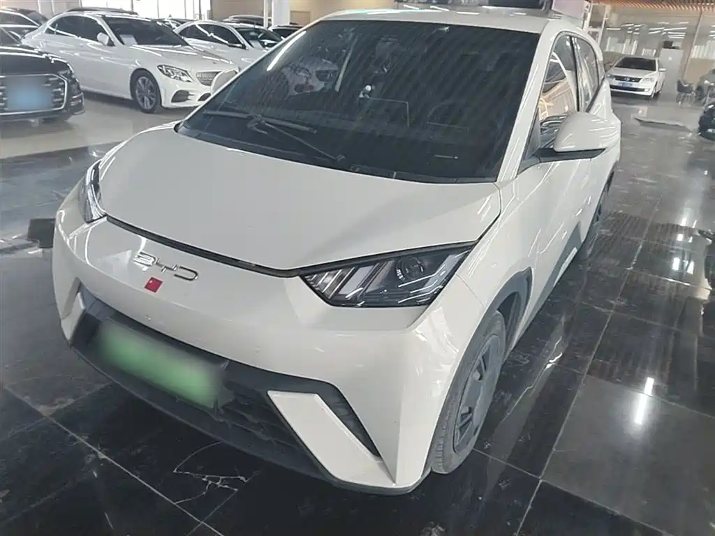 Byd Seagull 2024