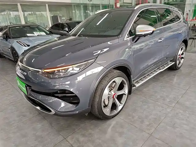 2021 Denza X