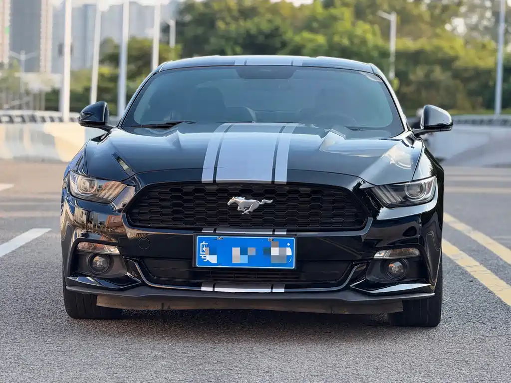 Ford Mustang — миниатюра 2