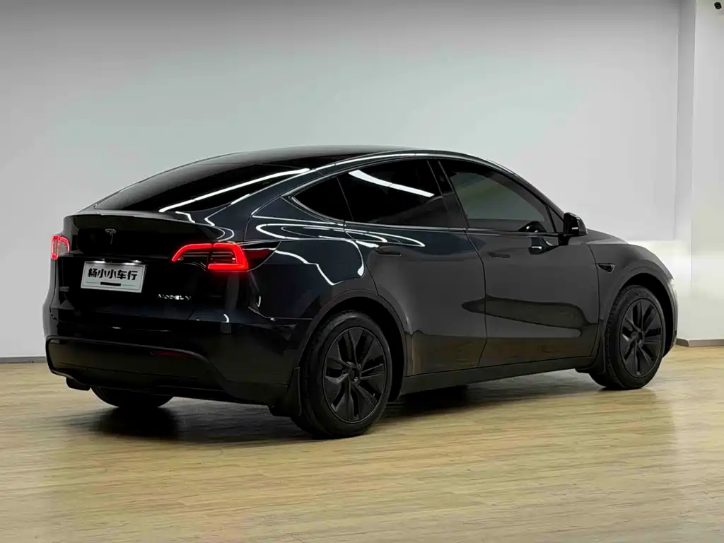 Tesla Model Y — миниатюра 21