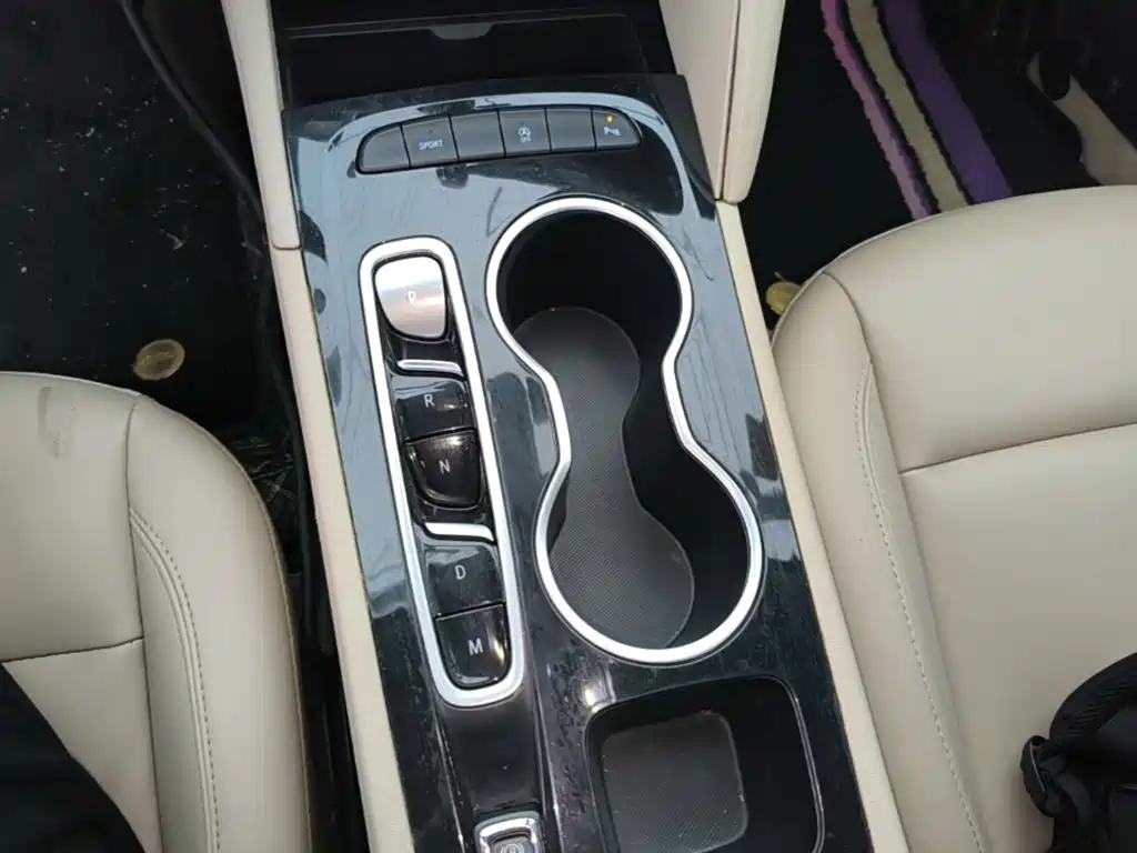 Buick Regal — миниатюра 14