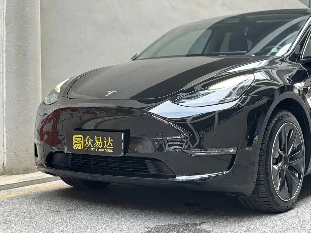 Tesla Model Y — миниатюра 5