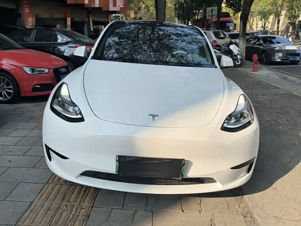 Tesla Model Y — миниатюра 3