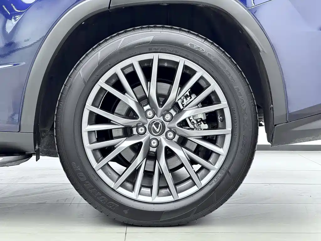 Lexus RX — миниатюра 14