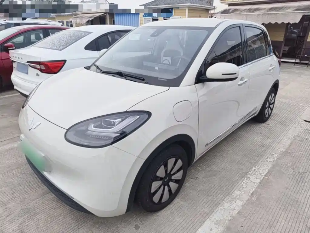 Wuling Bingo