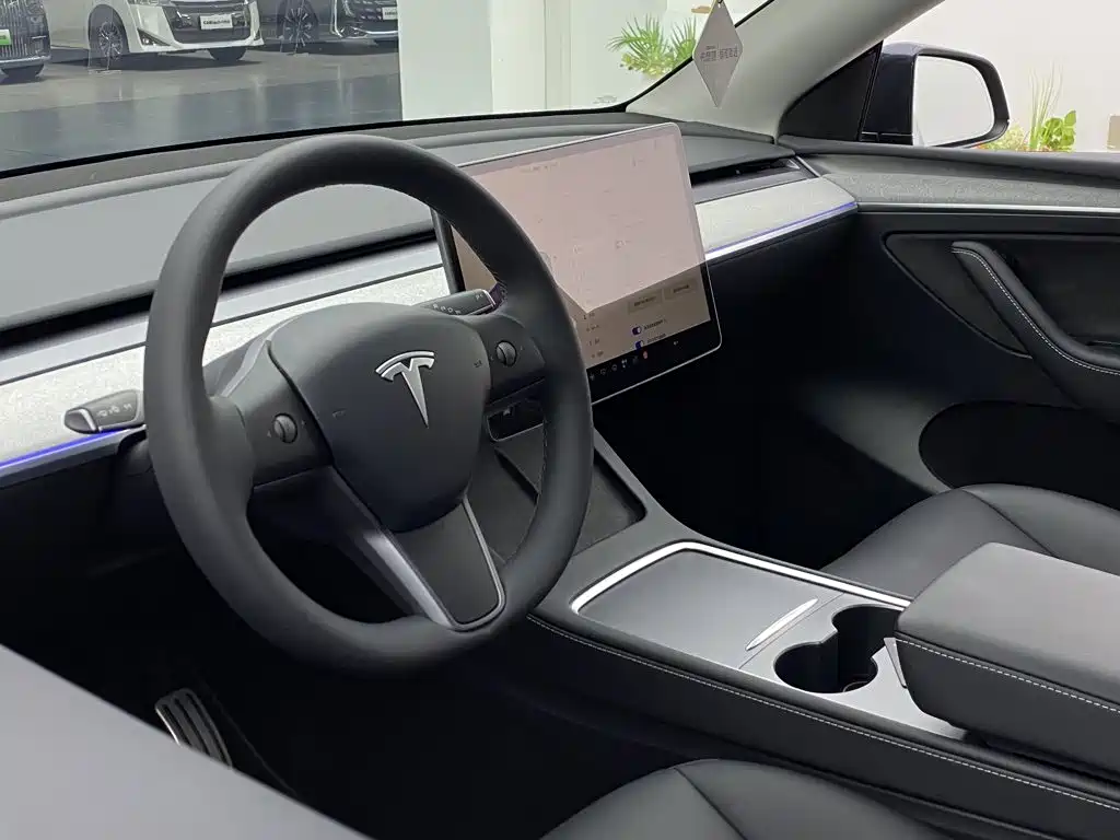 Tesla Model Y — миниатюра 27