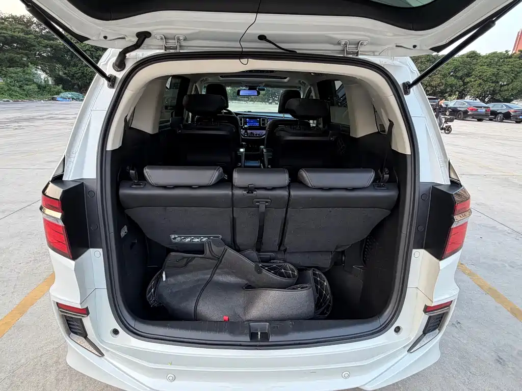 Honda Elysion — миниатюра 13