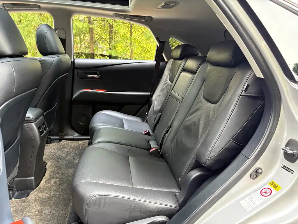 Lexus RX Classic — миниатюра 9