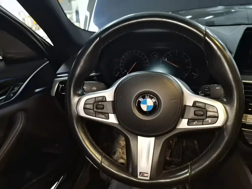 BMW 5 Series — миниатюра 11