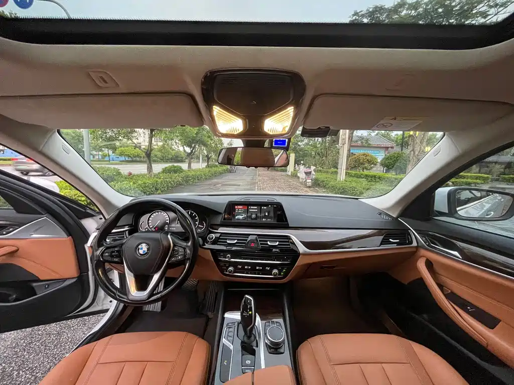 BMW 5 Series 5 2018 528Li