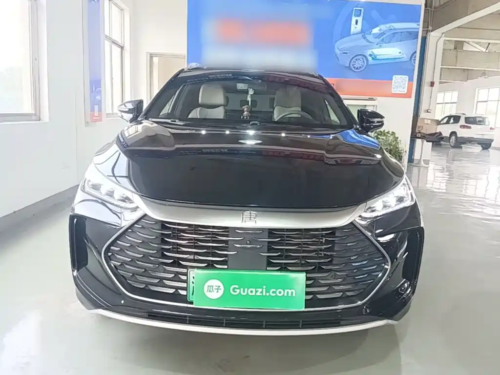 BYD Tang New Energy — миниатюра 3