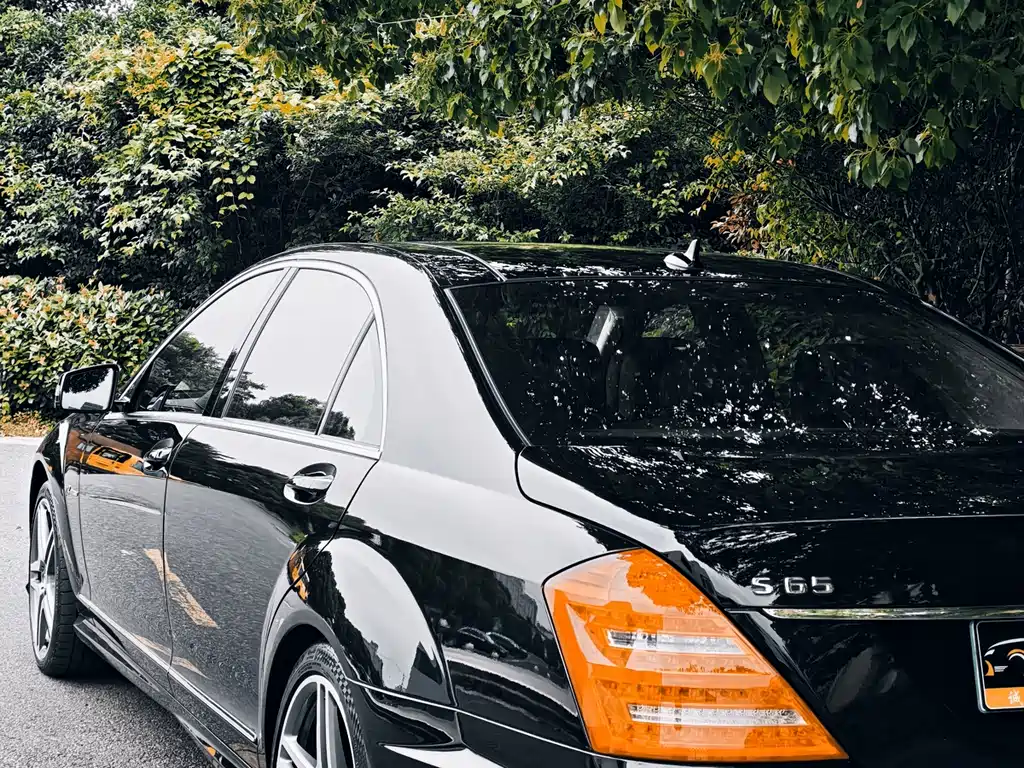 Mercedes-Benz S-Class A MG S AMG 2010 AMG S 65