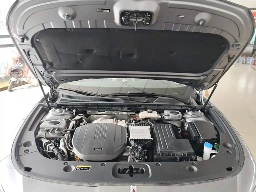 Hongqi Hongqi H5 PHEV — миниатюра 20
