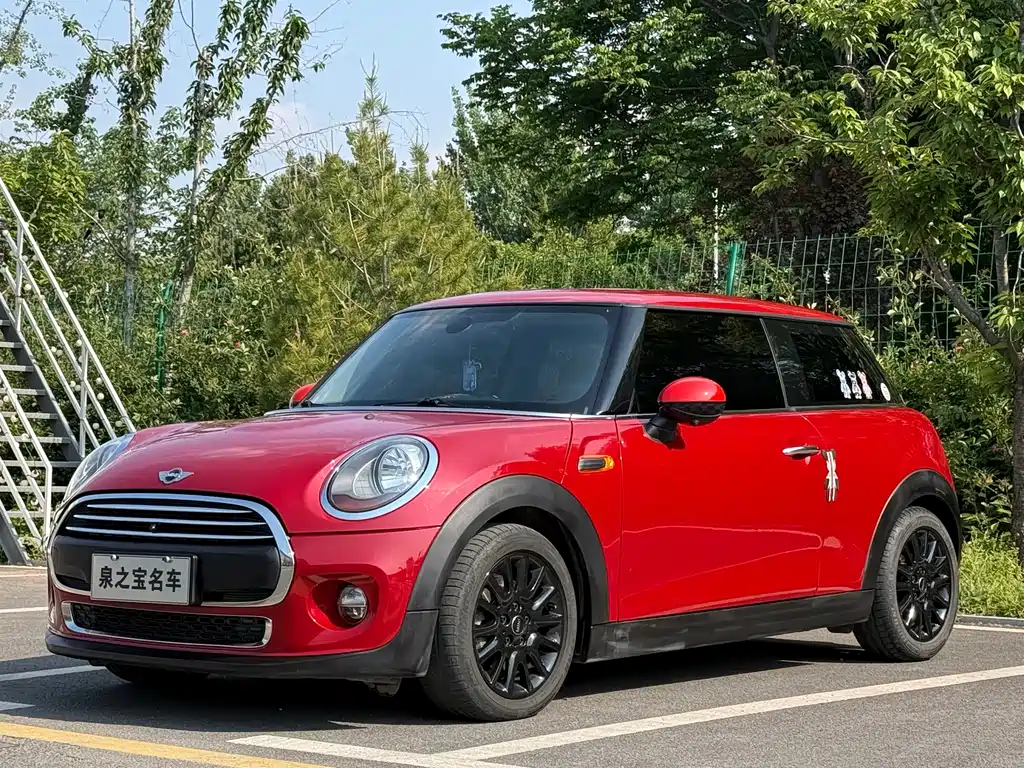 Mini Mini 2017