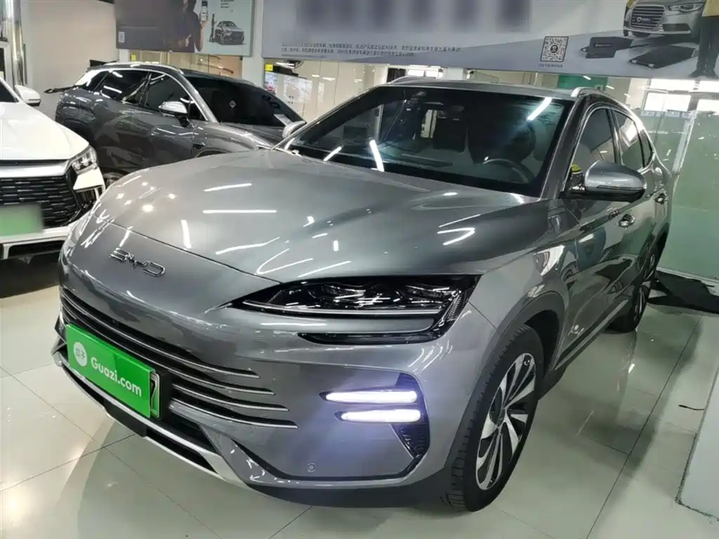 Byd PLUS New Energy 2024