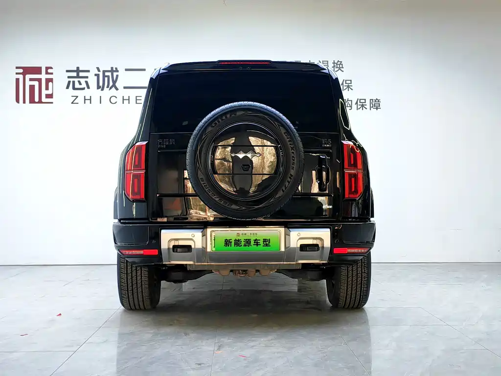 FANG CHENG BAO LEOPARD 5