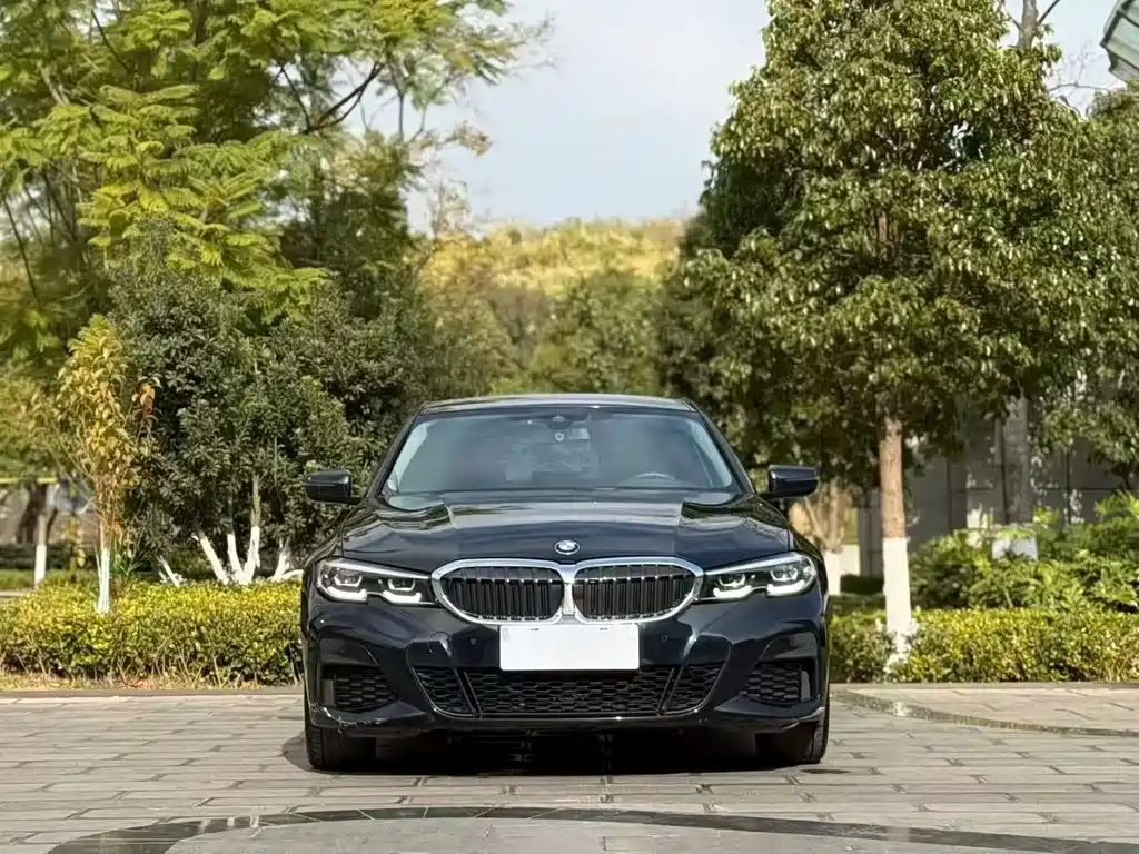 BMW 3 Series — миниатюра 2