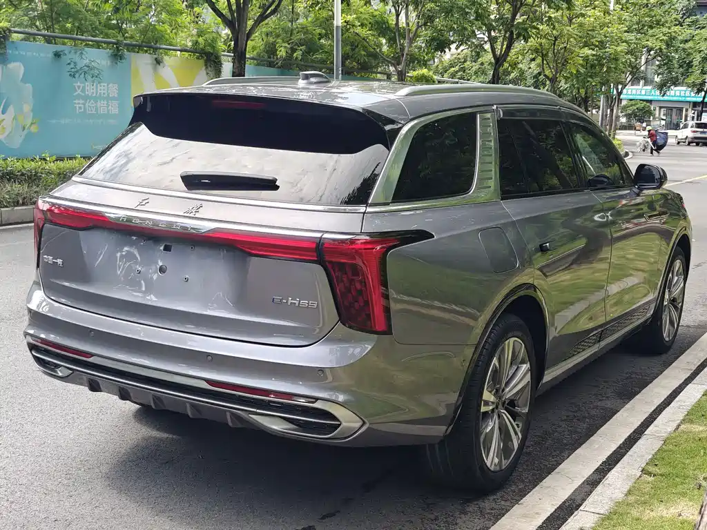 Hongqi E-HS9 2021 460km мест