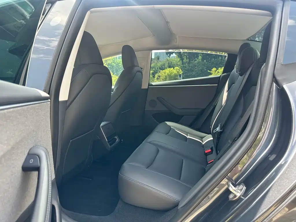 Tesla Model 3 — миниатюра 5