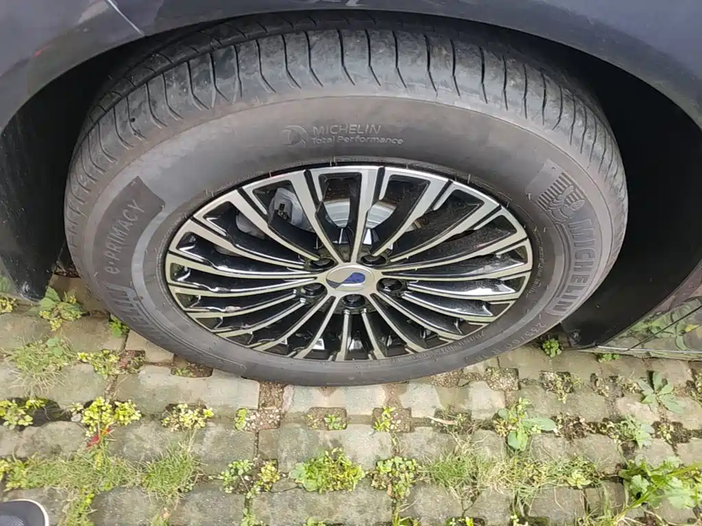 Denza Denza D9 — миниатюра 23