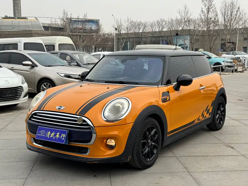 Mini Mini 2016
