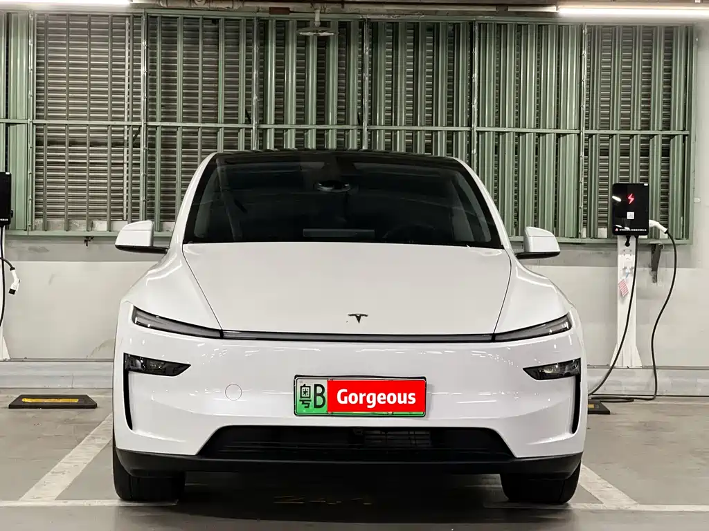 Tesla Model Y — миниатюра 2