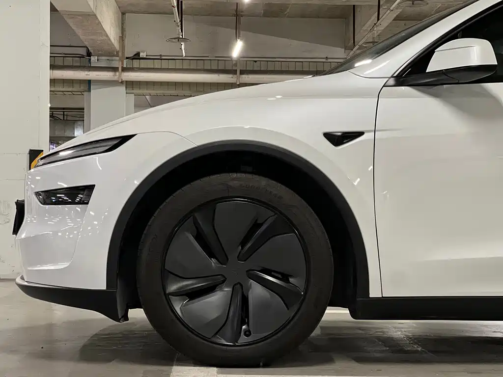 Tesla Model Y — миниатюра 32