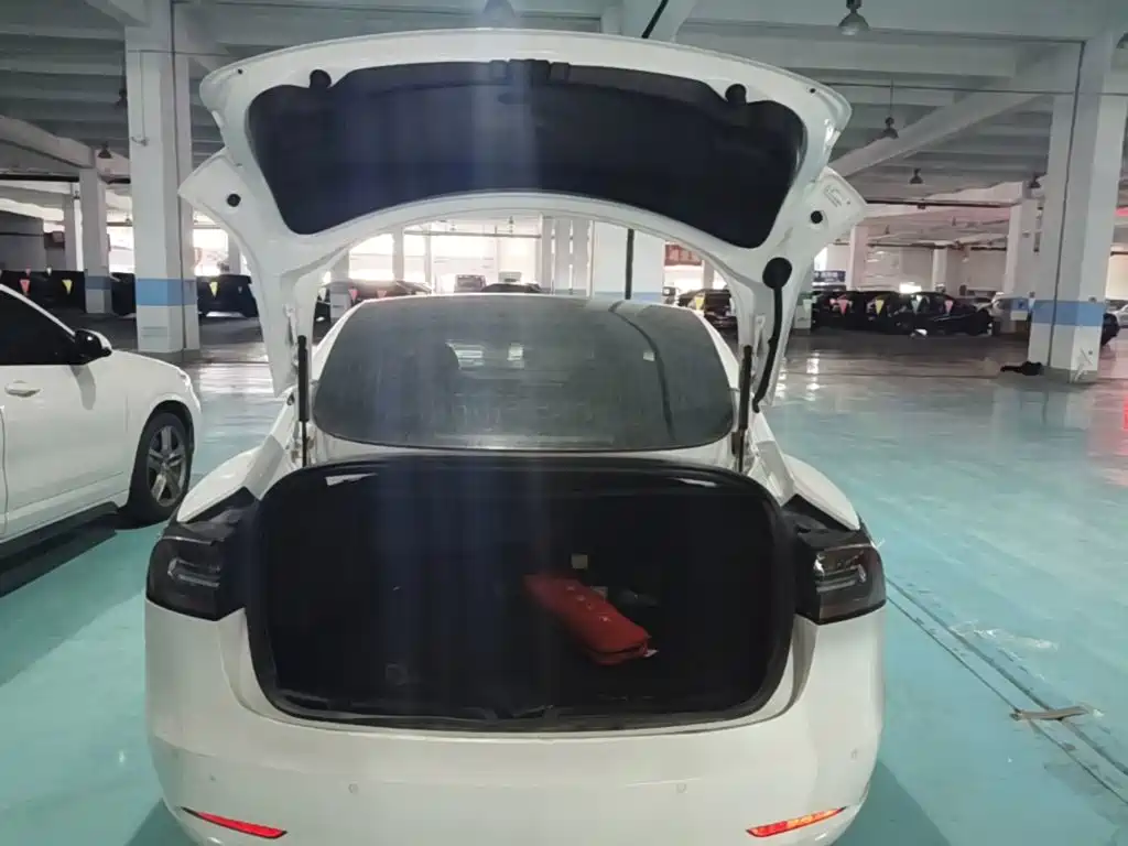 Tesla Model 3 — миниатюра 19