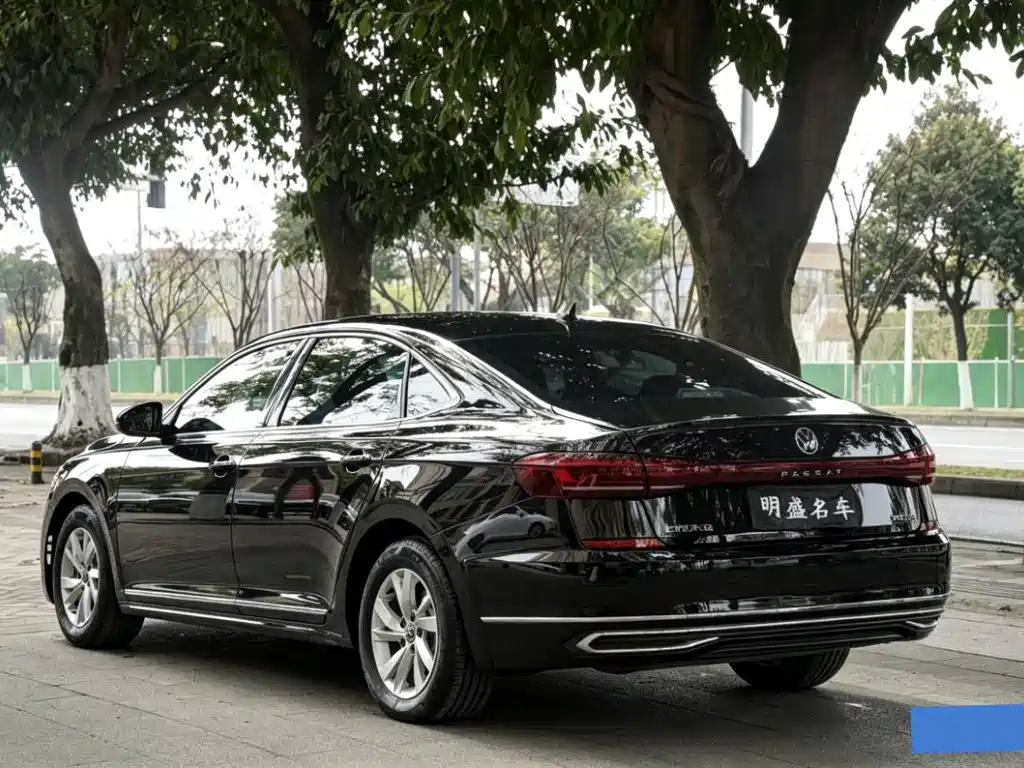 Volkswagen Passat — миниатюра 11