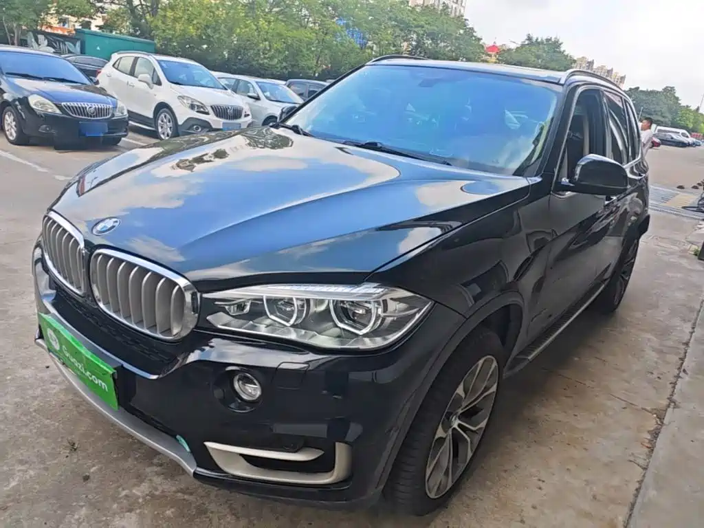 BMW X5 (Import) — миниатюра 2